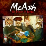 super hero cats, anyone?