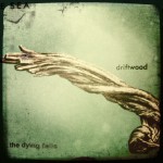 Listen! The Dying Falls Album “Driftwood” !!